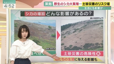今日のその他さん/2022年7月21日(木)