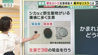 今日のその他さん/2022年7月21日(木)